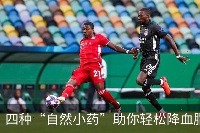 四种“自然小药”助你轻松降血脂，吃出乐趣来！